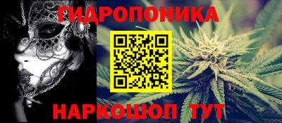 прущие крисы Абакан