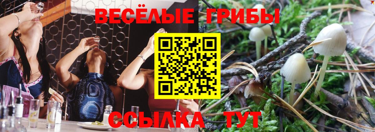 Галлюциногенные грибы Magic Shrooms Артёмовский