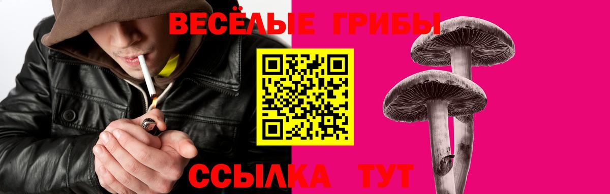 Артёмовский  Галлюциногенные грибы мицелий  Вход с VPN 