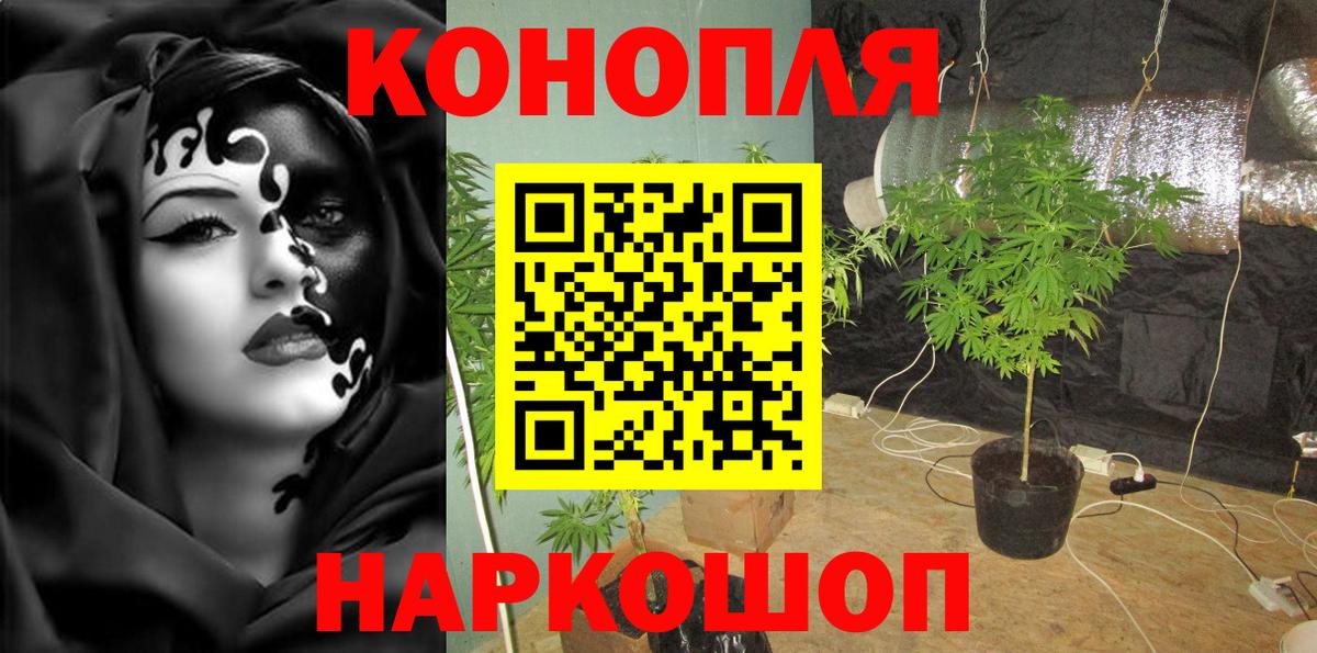 Бошки Шишки AK-47  Вход с VPN  Шишки марихуана THC 21%  Артёмовский  Канабис Bruce Banner  Бошки Шишки Bruce Banner 
